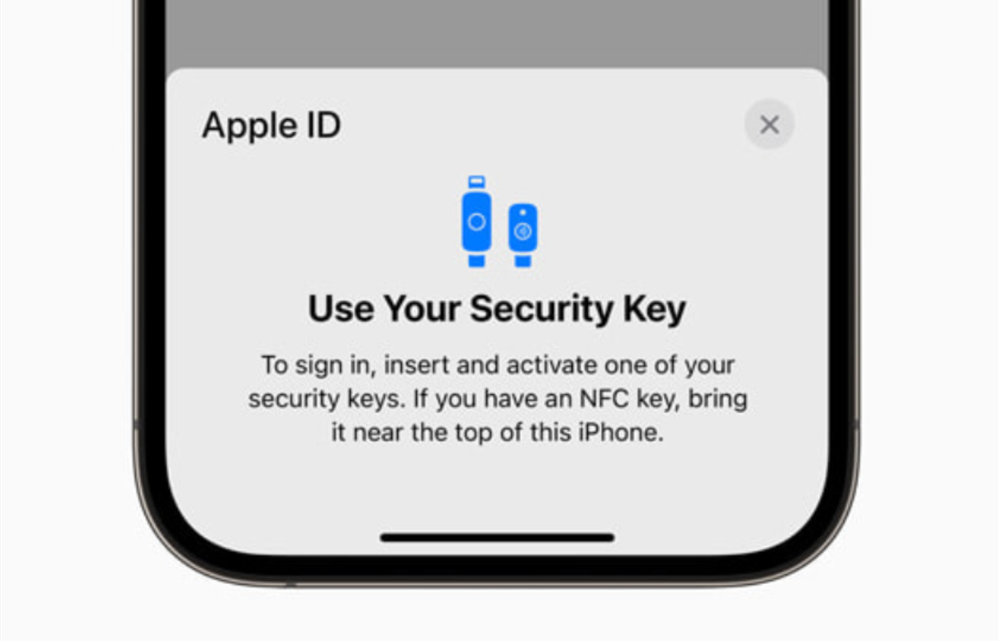 Apple ID security key