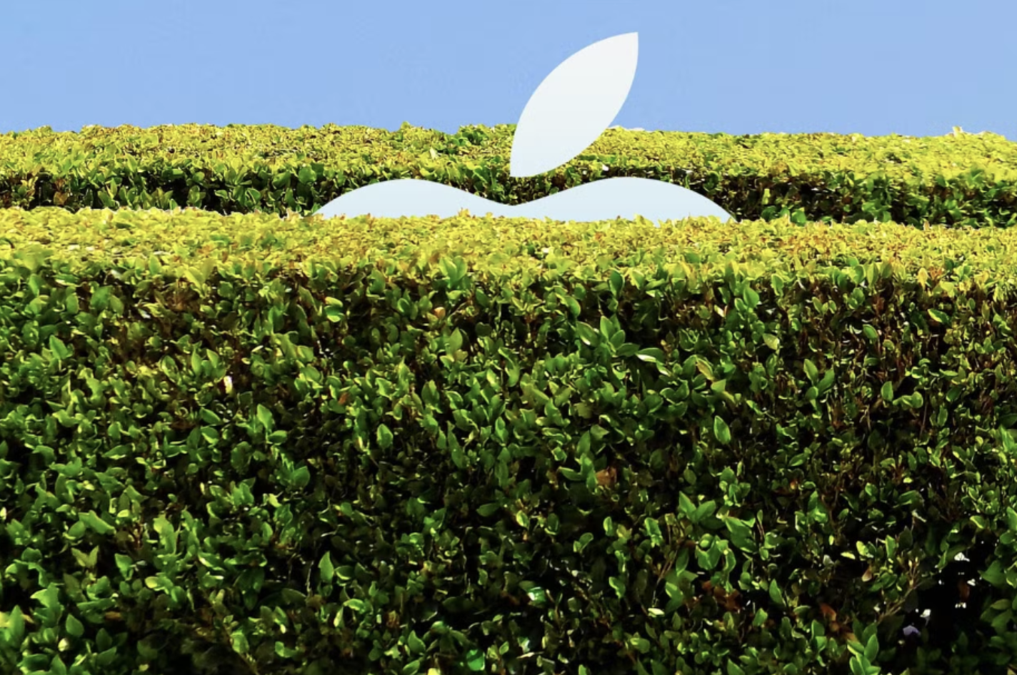 Apple Logo in Garden
